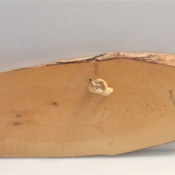 2x Solid Wood Plaque RETIRED & FISHERMEN No Boss No Mola No Job Liars Handmade - Picture 8 of 11